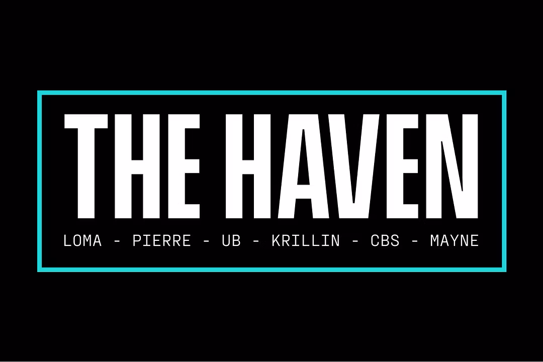 The Haven (Pay with Card) - Crypto Trading $250/mo course thumbnail